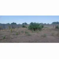 34قصبی-دهقاضی-فاز-3-گل-وگوهر