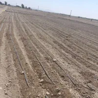 نوار آبیاری(مالچ)|عمدهفروشی|لار, |دیوار