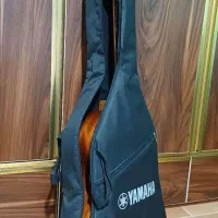 گیتار|گیتار، بیس، امپلیفایر|رشت, حومه رشت|دیوار