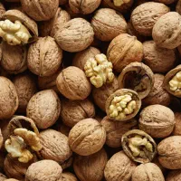 گردو بدونه پوست درجه یک