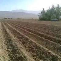 فروش-زمین-باغی