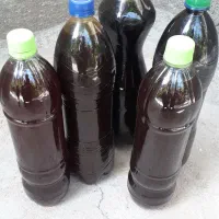 شیره انگوره بیدانه زیر قیمت بازارکیلویی ۶۰۰