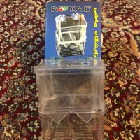 زایشگاه ماهی