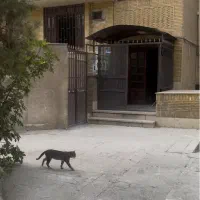 دربست ویلایی جنت آباد ، خوابگاه ،درمانگاه شرکت و.