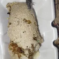 عسل طبیعی
