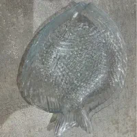 بشقاب/لیوان/قاشق چنگال/دیوارکوب/دیس|ظروف سرو و پذیرایی|قم, زنبیل آباد|دیوار