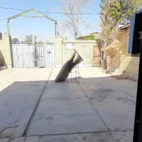 سوله ۵۰۰متری|فروش دفتر صنعتی، کشاورزی، تجاری|اسلامشهر, چیچکلو|دیوار