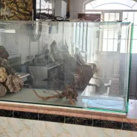 آکواریوم