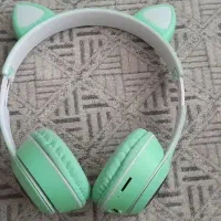 هدفن گوشدار سالم چراغ دار