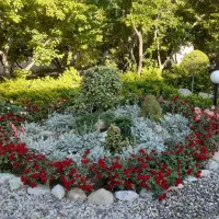 خدمات فضای یبز|خدمات باغبانی و درختکاری|تهران, آهنگ|دیوار