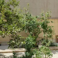 منزل-ویلایی-جنوبی-2طبقه-ارتفاع-دار-اشراق-شمالی