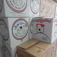 پخش تخم‌مرغ مستقیم  عمده و جزئی
