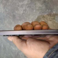 گوشی a35|موبایل|مشهد, سمزقند|دیوار