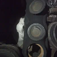 پنوماتیک و سیستم|قطعات یدکی و لوازم جانبی|کرمان, |دیوار