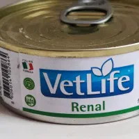 غذای درمانی رنال گربه