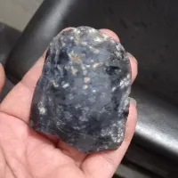 سنگ شجر اصل
