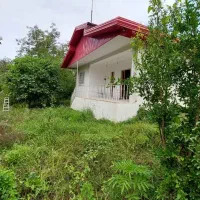 ویلا *کلبه سوئیسی *سوئیت /شیرگاه/لفور|اجارهٔ کوتاهمدت آپارتمان و سوئیت|شیرگاه, |دیوار