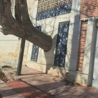 همخانه-هم-خونه-جهت-زندگی-مشترک