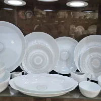 آرکوپال ۴۲پارچه دینو