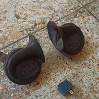 بوق حلزونی. پیداشده