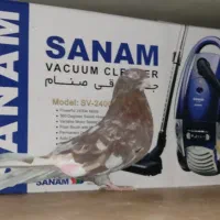 نر سرور پرشی