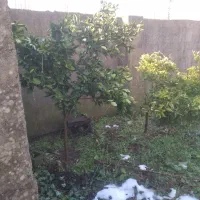 زمین-مسکونی