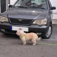 111 مدل93|خودرو سواری و وانت|فردیس, ثابتی|دیوار