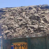فروش کودمرغ گوشتی سالنی وقفسی