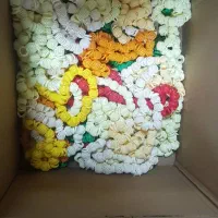 پرنده سرای وینگ|پرنده|بهبهان, |دیوار
