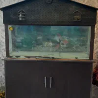 آکواریوم بزرگ