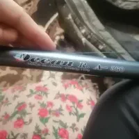 لنسر ماهی گیری|ماهیگیری|اشنویه, |دیوار