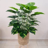 درختچه مصنوعی کاملا نو