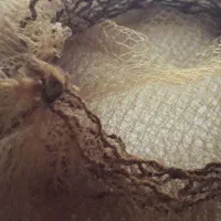 تور شینیون|آرایشی، بهداشتی، درمانی|گنبد کاووس, |دیوار