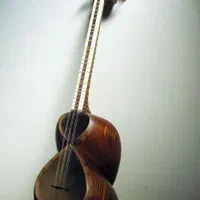 آموزش و تدریس تار برای کودکان و بانوان گرامی