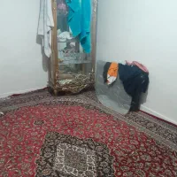 خانه ویلایی ۶۰ متری دربست|اجارهٔ خانه و ویلا|تهران, شهرک ولیعصر جنوبی|دیوار