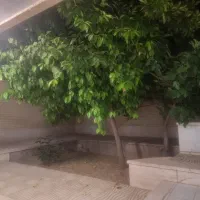 کوچه زیتون سه نبش|فروش خانه و ویلا|یزد, |دیوار