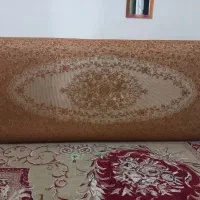 پشتی(نیاز مالی)