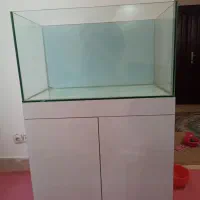 آکواریم ریملس|ماهی|کرج, شاهینویلا|دیوار