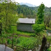 ویلای جنگلی منطقه بکر در گیلان