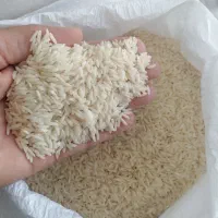 فروش برنج هاشمی|خوردنی و آشامیدنی|تاکستان, |دیوار