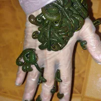 زالو زالو طبی با گیرایی بالا فروش زالو زالو درمانی|خزنده|شیراز, پانصد دستگاه ارتش|دیوار