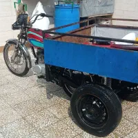گاو
