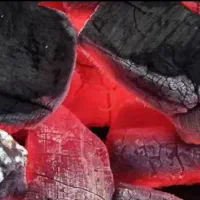 فروش 2گونی زغال