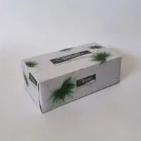 تولیدی دستمال کاغذی اقتصادی