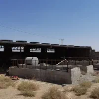 اجاره دامداری جهت پروار بندی دام سبک و سنگین
