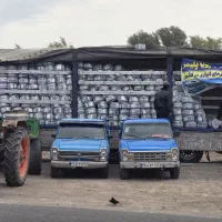 نوارتیپ قطره ای باضمانت کتبی