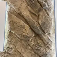 پتینه میکروسمنت گچبری مدرن ماه میکروسمنت نماو..|خدمات پیشه و مهارت|تهران, شهرک غرب|دیوار