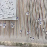 فروش تابلو فرش در حال بافت|تابلو فرش|بندرعباس, |دیوار