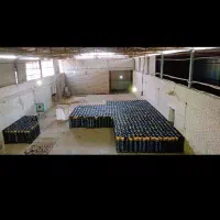 تولید ایزوگام  اقتصادی به صرفه از  درب کارخانه۰|خدمات پیشه و مهارت|شوشتر, |دیوار