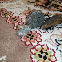 سنگ شناس|کلکسیون اشیاء عتیقه|لاهیجان, آهندان|دیوار